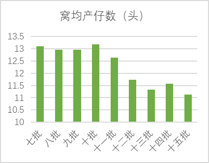窝均产仔数