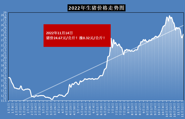 3连涨！惜售情绪升温猪价再度反弹，市场发生了啥？