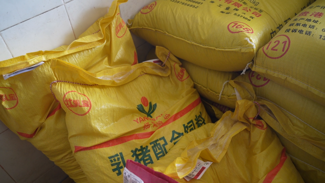 扬翔饲料