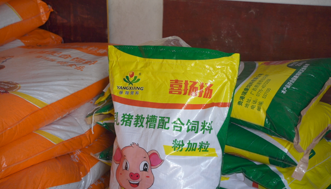扬翔饲料
