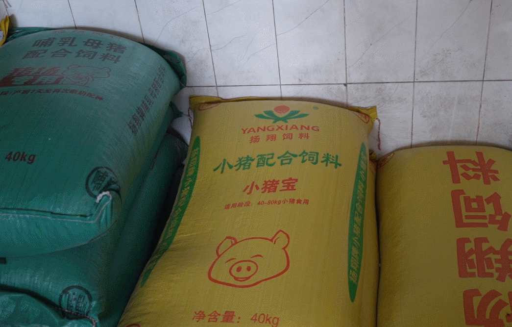 扬翔饲料