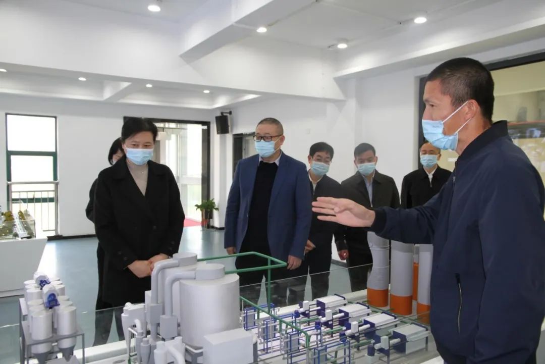 湖北省人大常委会党组副书记王艳玲一行视察新华扬