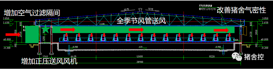 大栋小单元猪舍空气过滤改造方案示意
