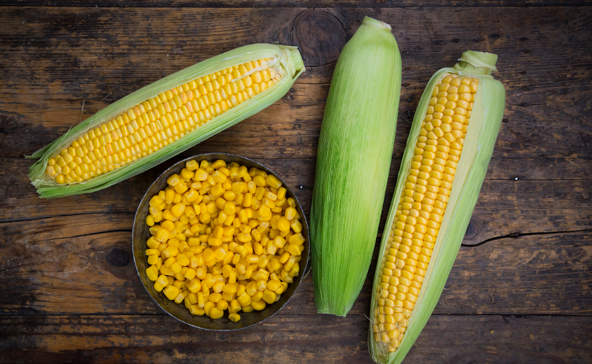 今年玉米的行情趋势如何？如何判断今年玉米的走势？