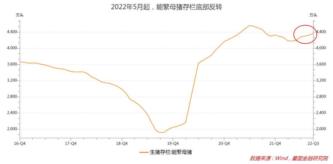 能繁母猪存栏