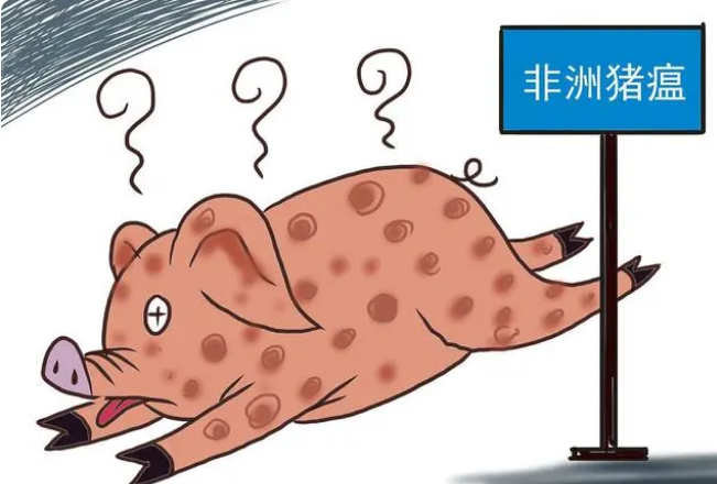 非洲猪瘟病毒的的传播途径有哪些？主要是这五个
