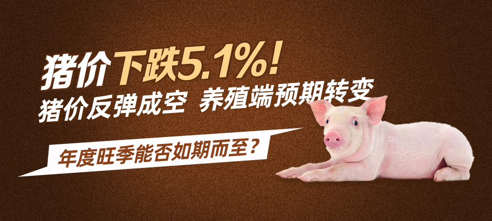 猪价下跌 5.1%！猪价反弹成空，养殖端预期转变，年度旺季能否如期而至？