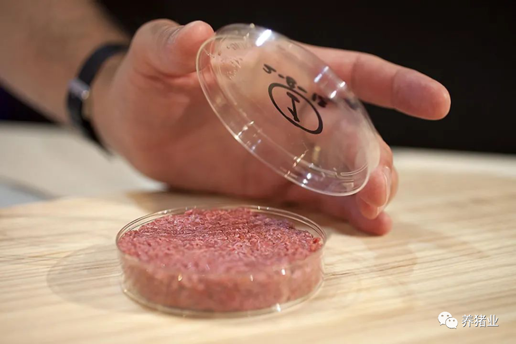 第一款细胞培养肉汉堡