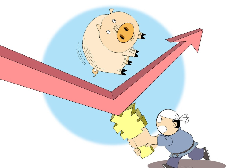 猪价止跌上涨