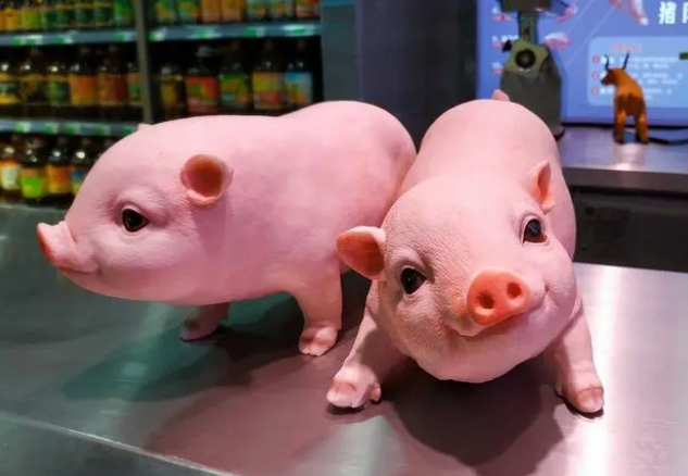 降低养殖风险，中国民生银行杭州分行牵头“生猪饲料收益险”落地滑县