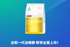 突破瓶颈，全新升级！回盛生物全新一代20%治嗽静工艺大揭秘！