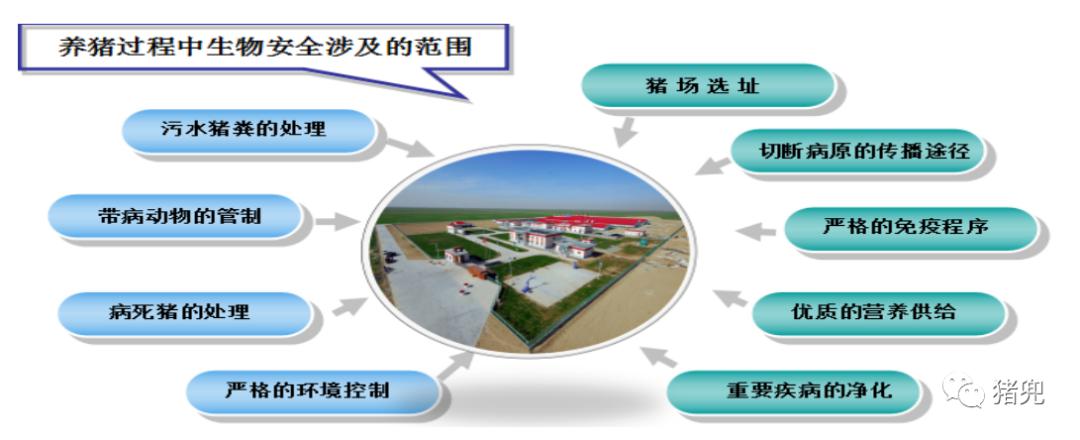 生物安全涉及到的范围