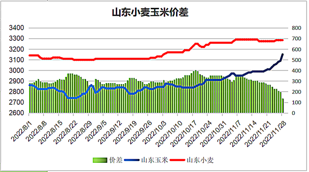 11月29日猪价“变脸”，豆粕跌惨，玉米疯狂上涨！市场到底咋了？