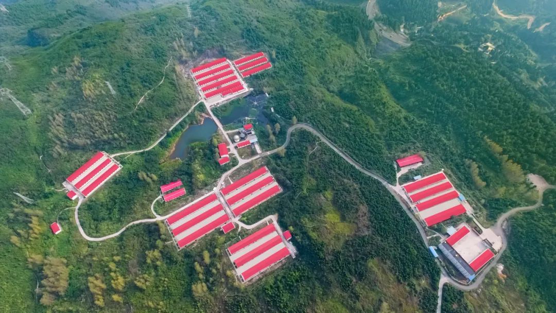 铁骑力士