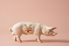 “预期”与“预期差”驱动生猪市场“高频宽幅”波动，明年猪价或在周期顶部高位运行