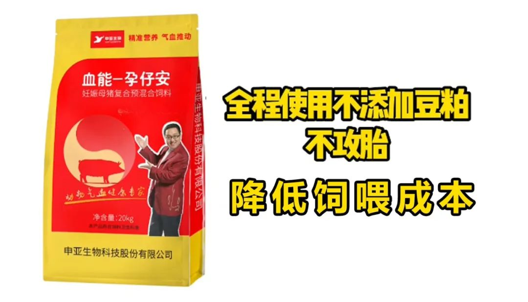 血能孕仔安