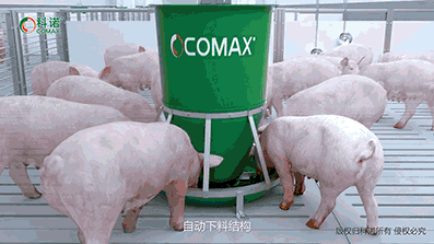 科诺料槽独有的下料结构和防结拱装置