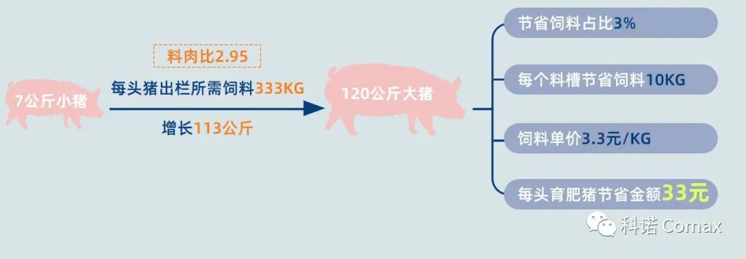 保育育肥猪应用数据