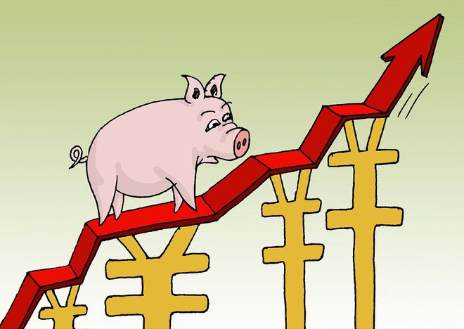 生猪价格涨势反扑，猪价或将逐步冲高24~25元/公斤？