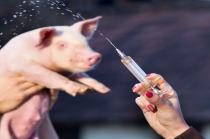 猪业一周热点：西班牙团队公布一款新的非洲猪瘟候选疫苗、农业农村部发布《畜牧业应对寒潮暴雪天气技术指导意见》