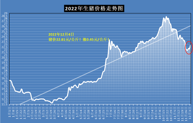 12月4日猪价涨势“开挂”，上涨逻辑是什么？分析来了！