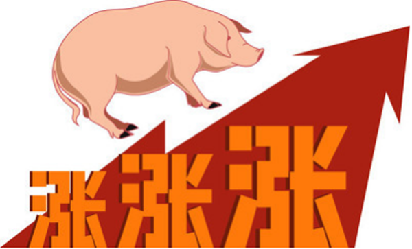 年底冲刺！牧原11月卖猪517万头，大北农49万头，天邦46万头…猪企市场占有率或更高？