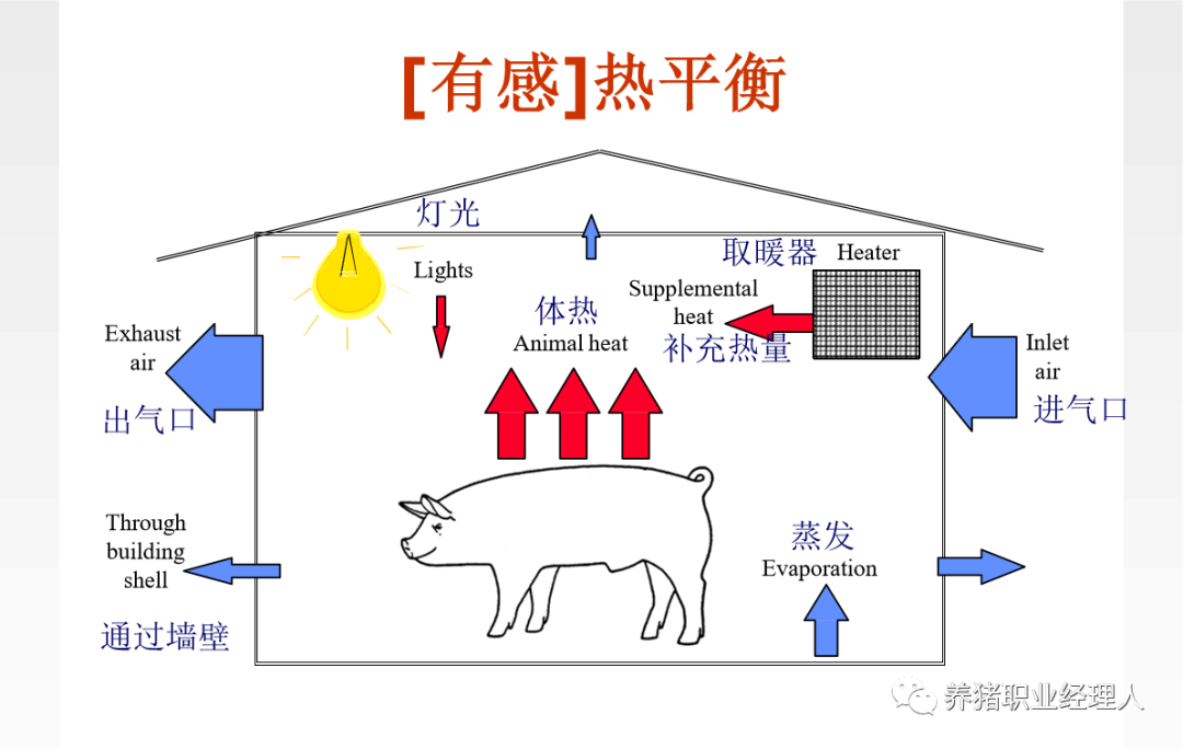 热平衡