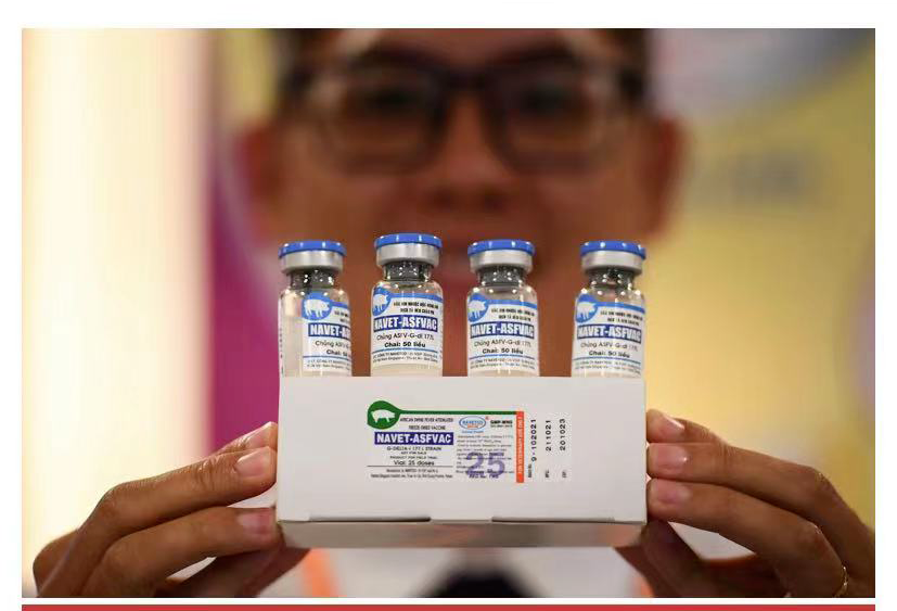 最新！菲律宾获越南非瘟疫苗独家代理权，开始进行本地试验...