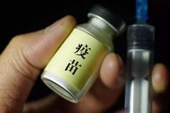 猪瘟疫苗是如何诞生的？又将如何发展呢？