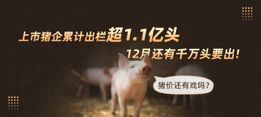 上市猪企累计出栏超1.1亿头，12月还有千万头要出！猪价还有戏吗？
