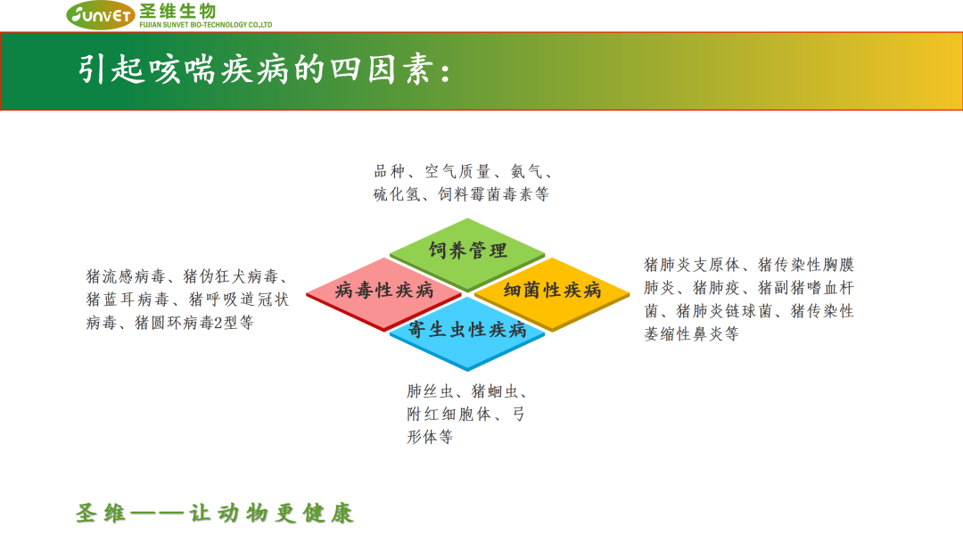 猪呼吸道疾病如何防控？8大规律助力猪场防控不再迷茫！