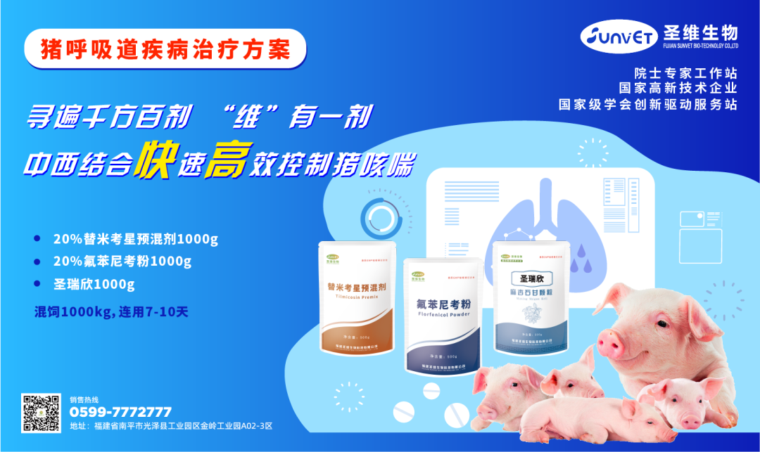 猪呼吸道疾病如何防控？8大规律助力猪场防控不再迷茫！