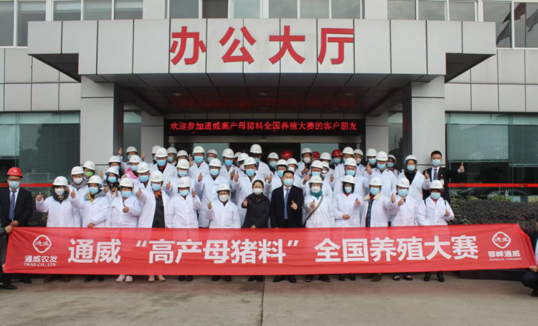 高手同台竞技，养出好效果！通威“高产母猪料”全国养殖大赛正式启幕