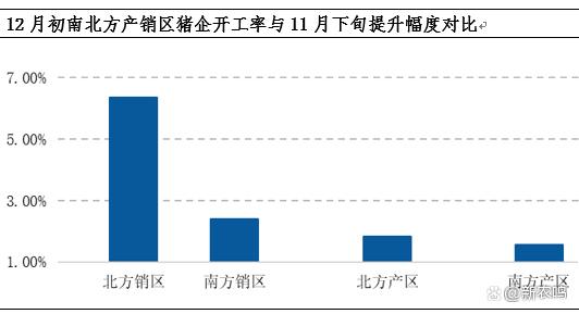 12月上旬猪价连跌！冬至、元旦、春节来临，猪价能否触底反弹？