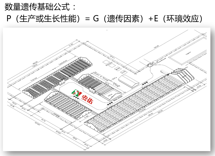 遗传和环境的关系