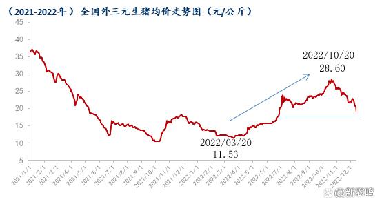 12月上旬猪价连跌！冬至、元旦、春节来临，猪价能否触底反弹？