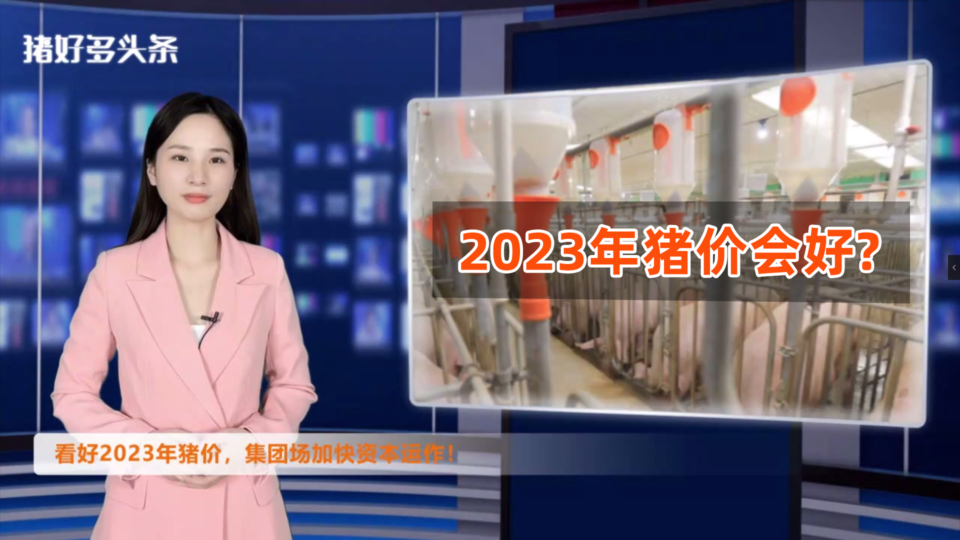 2022年猪价反套路！集团场加快资本运作，2023年猪价会好？