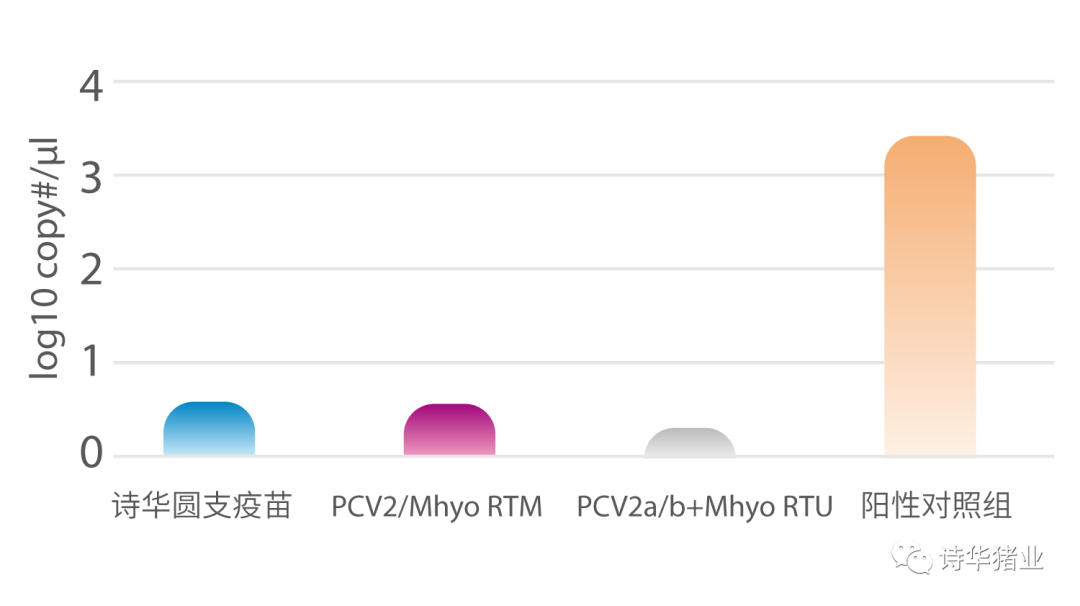 感染后28天病毒血症(28 DPI)