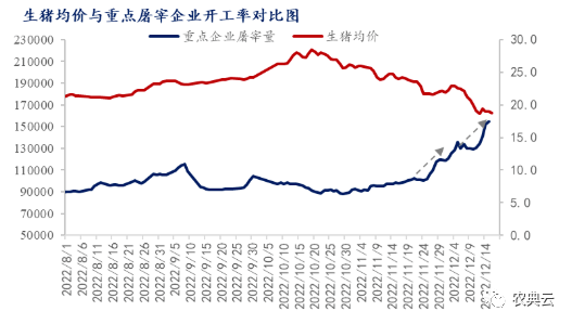 国家发改委：预计短期猪价仍有走低可能，生猪预期盈利将继续缩水！