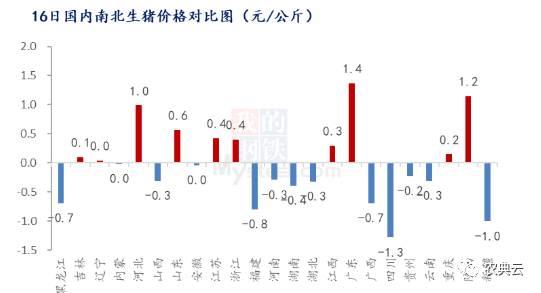 国家发改委：预计短期猪价仍有走低可能，生猪预期盈利将继续缩水！