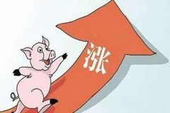 “旺季不旺”或源于“淡季不淡”，猪价何时才会回升？