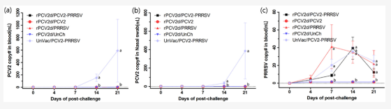 血液和鼻拭子中PCV2和PRRSV的定量分析