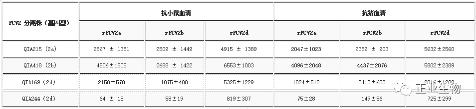 小鼠(n=5)和猪(n=3)中VLP（rPCV2a、rPCV2b和 rPCV2d）的中和抗体滴度（平均值±标准误差）
