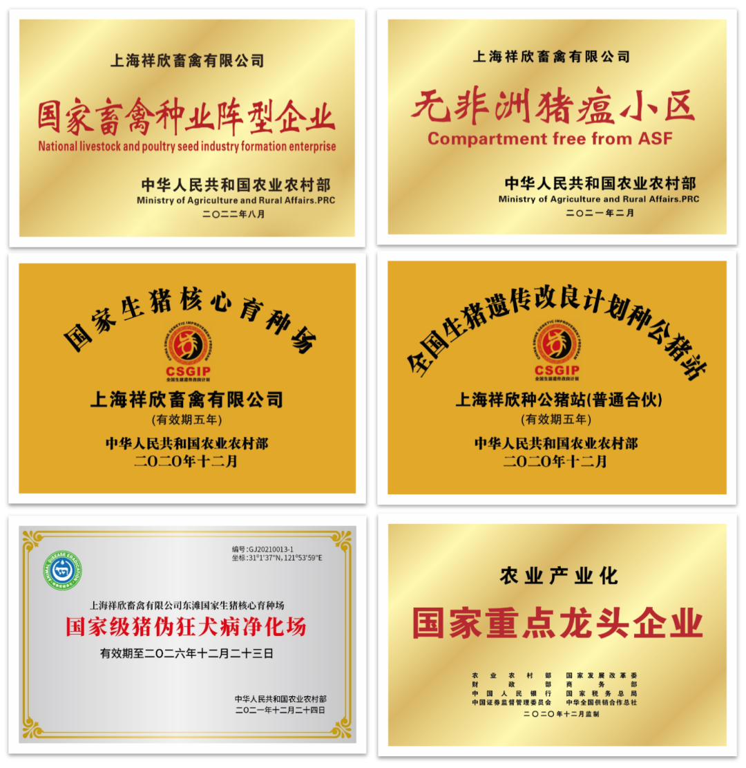 上海祥欣畜禽有限公司