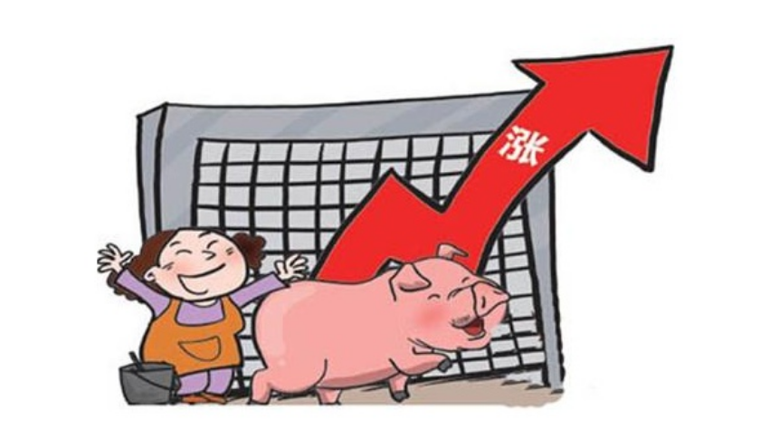 猪价连日上涨，是否意味着就此进入“上涨模式”？