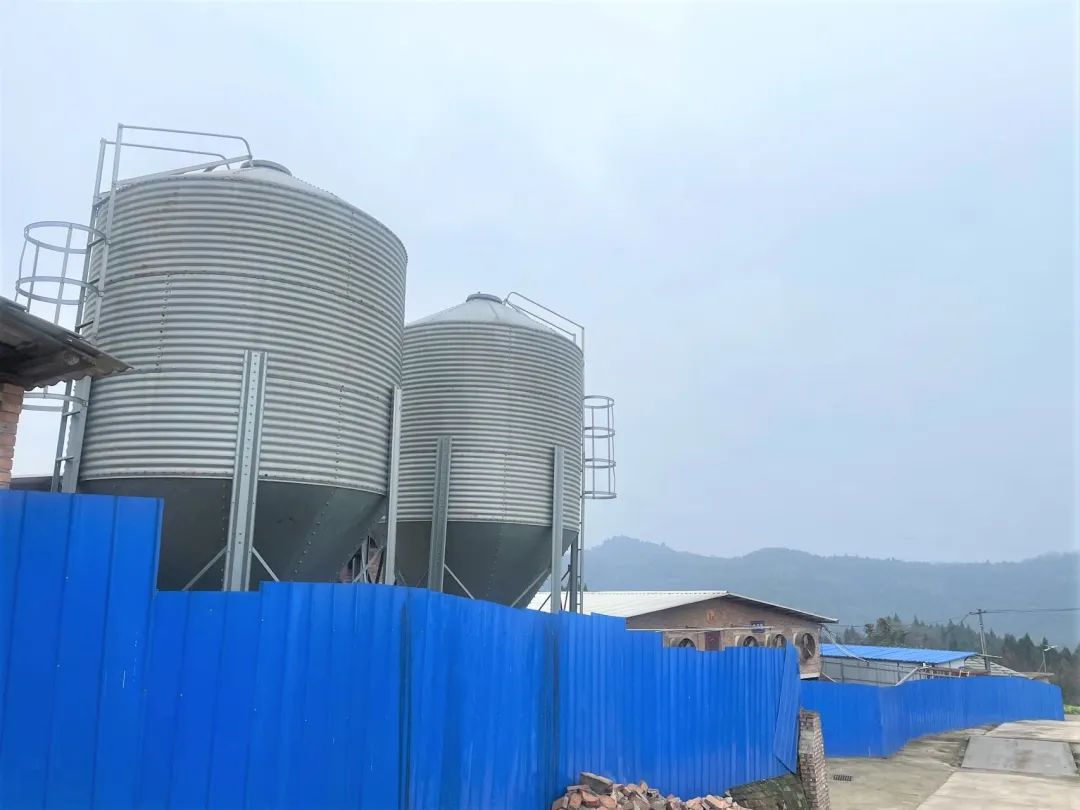 云盖山农牧专业合作社
