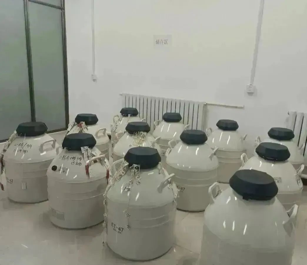 精液储运