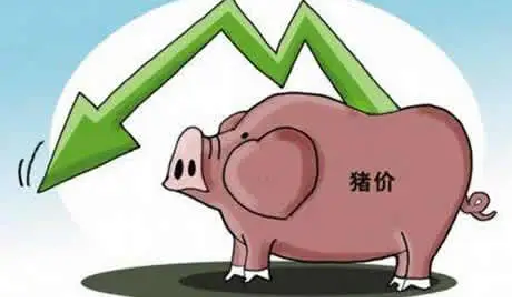 生猪价格大起大落，成因复杂，但不改生猪产业平稳发展态势