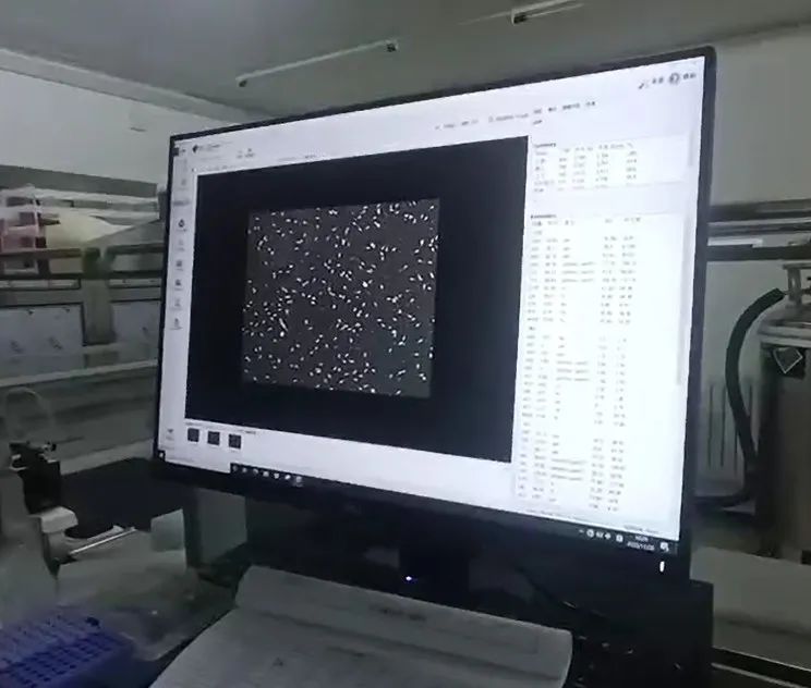 精液活力