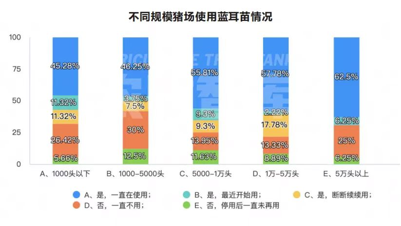 不同猪场使用蓝耳苗情况